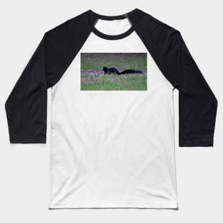 Black Fox Squirrel Baseball T-Shirt